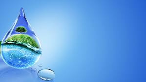 Suyun İnsanlar Hayvanlar ve Bitkiler İçin Önemi Nedir ile ilgili görsel sonucu