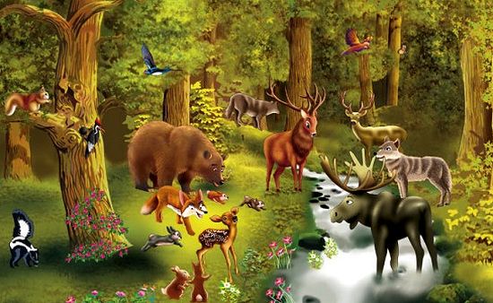 orman hayvanlar ile ilgili görsel sonucu
