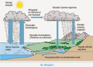 Suyun Döngüsünde Kullanılabilir Su Miktarını Olumsuz Etkileyen Faktörler Nelerdir ile ilgili görsel sonucu